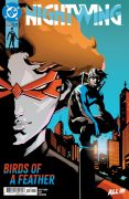 Nightwing132