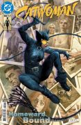 Catwoman84
